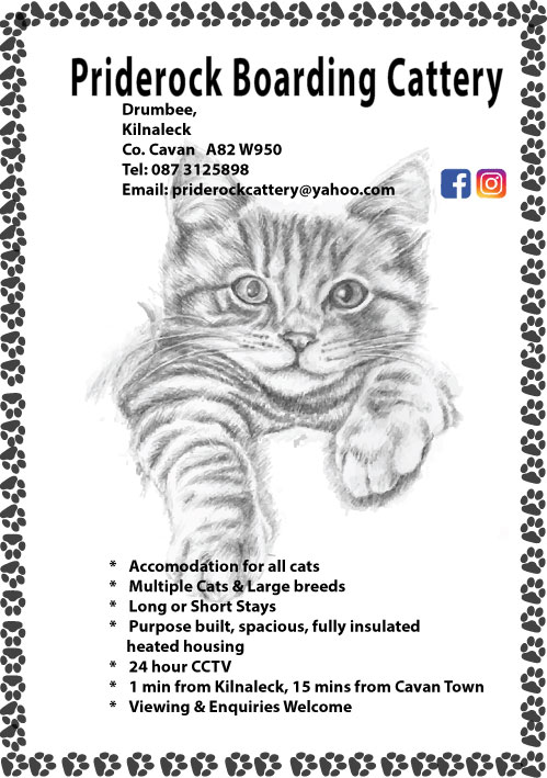 flyer for priderock boarding cattery