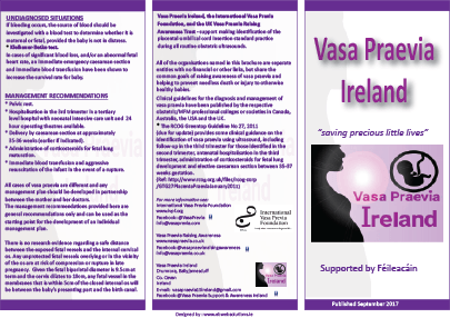 tri fold brochure for Vasa Praevia Ireland